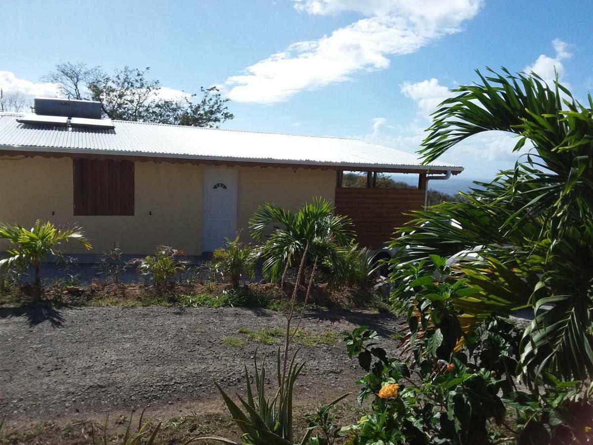 Apartamento Gite Manguier Bouillante Exterior foto